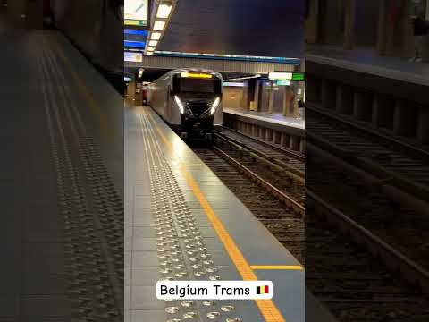 Bruxelles Trams, Belgium #trending #brussels #belgium #bruxelles #trams /#vlog #travelvlog #2024