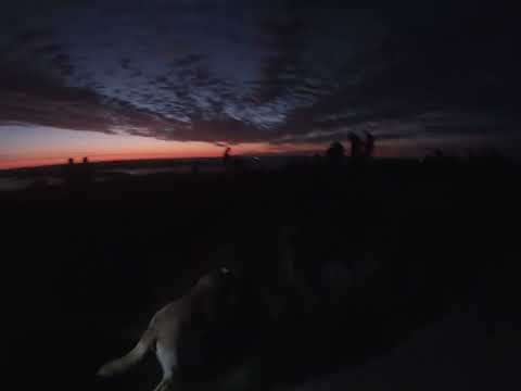Cadillac Mountain, ME Sunrise Hike 8/29/24