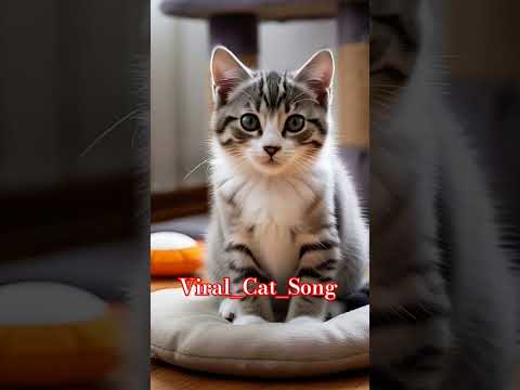 #catshort #viralcatsong #trending #vibes #funny #shortviral #subscribe  #public ...#unfreezmyaccout
