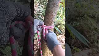 easy knot for beginer🪢👍#diy #outdoors #knot #tutorial #camping #shortvideo #shorts #viral
