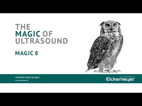 EICKEMEYER Ultraschallsystem MAGIC 8 Vorführung
