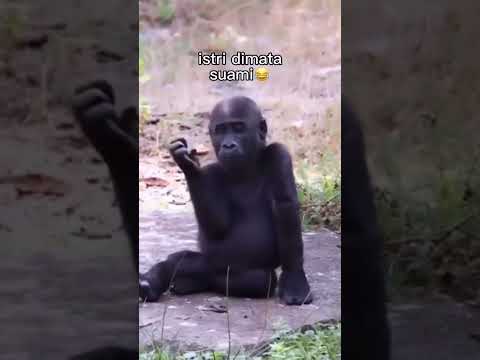 Wow Nora Alexandra Tampakan Body Gols