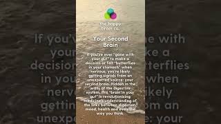 Your Second Brain | The Gut-Brain Connection Explained