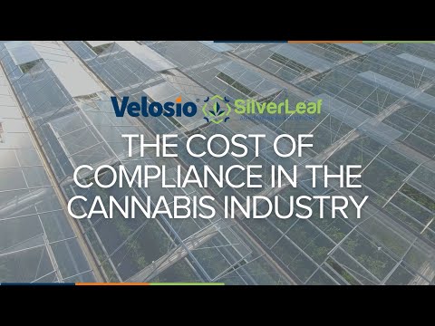 The Cost of Compliance in the Cannabis Industry