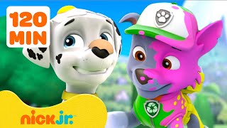 PAW Patrol Messiest Rescue Missions & Adventures! 🐾 w/ Marshall | 120 Minutes | Nick Jr.