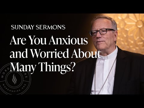 Are You Anxious and Worried About Many Things? - Bishop Robert Barron’s Sermon 2025