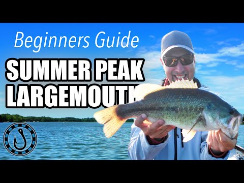 How-To: Beginners Fishing Guide to the Wacky Worm for Largemouth Bass