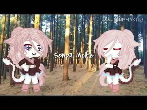 Senpai Wolfie Intro
