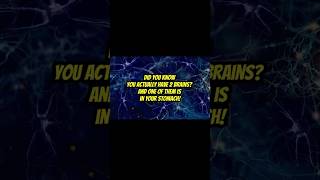 Your Stomach Has a Second Brain #brainfacts #didyouknow #secondbrain #scienceshorts #brainzap