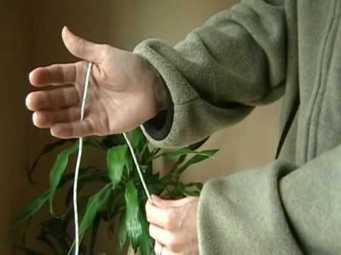 Mystery Knot Revealed