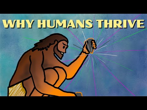 Why Are We Curious?