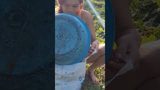 Country girl goes looking for snails #fishing #girlbuildingbushcraftlife #survivalgirl #farming #