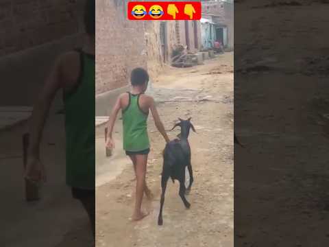 10th के बाद क्या करोगे😂😂 #shortsvideo #blogger #comedy #funny