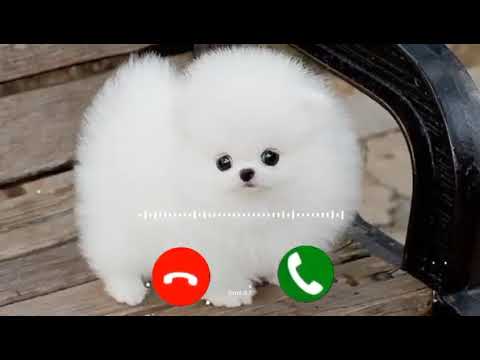 new ringtone iphone ringtone vivo ringtone love ringtone sad ringtone flute ringtone #ringtone
