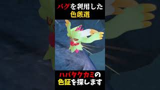「バグ」を利用した色厳選、ハバタクカミの「色証」探してみた【ポケモンSV】