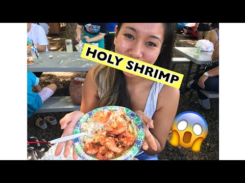 THE BEST SHRIMP TRUCK IN HAWAII | THE DOZA LIFE