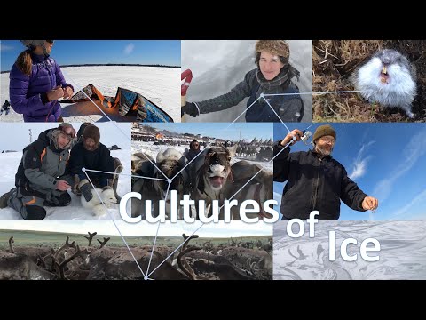 Cultures Of Ice