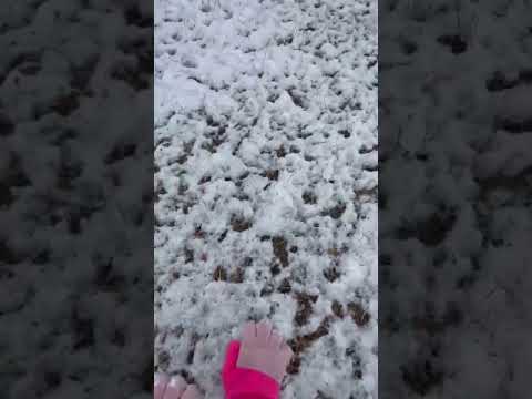 Snow pov #therian #fyp