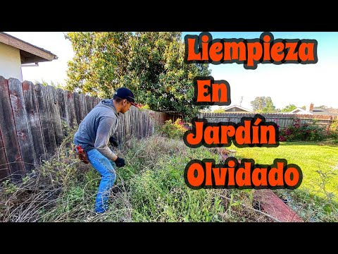 Limpiando Jardín Y Instalando  Bark.