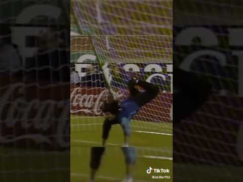 what a save [@epicfootballclipss]