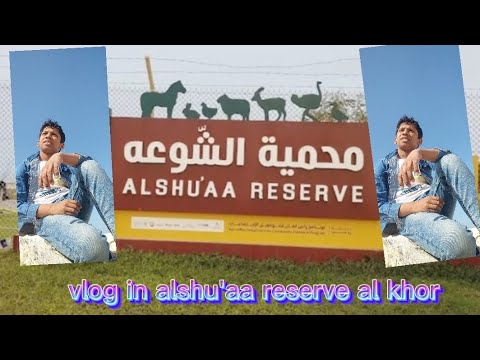 alshu'aa reserve al khor 24 likes Dhal Al Misfir Cave ok if more than 24 also another place #shorts