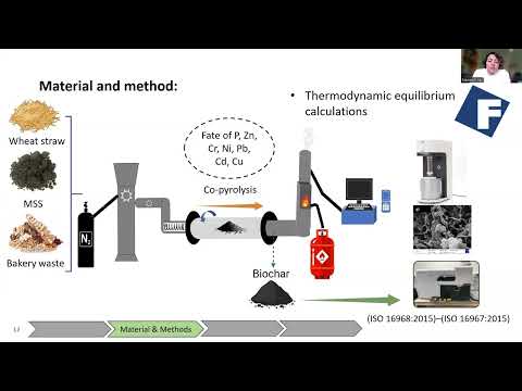 Effects of Fe/Al on P compounds in sewage sludge derived biochars &  adding K compound -Naeimeh Vali