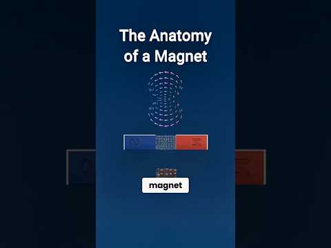 The Anatomy of a Magnet | Magnets Explained #shorts #science #magnet