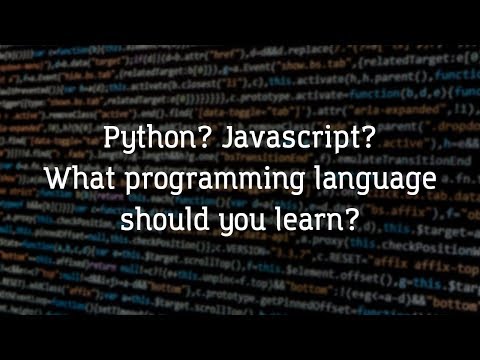Python? Javascript? What programming language should you learn? // helloMayuko