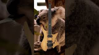 The Strandberg Boden RESQ:D - Why so special? #strandbergguitars