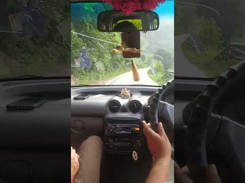 अल्मोड़ा द्वारहाट