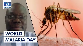 How Nigeria Can Eradicate Malaria - Health Expert