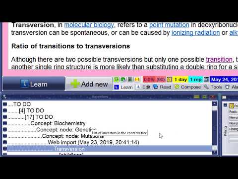 Importing to a concept group (SuperMemo 18)