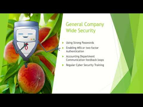 PXL Cyber Security General Company Wide Security