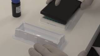 How to Run an ELISA Assay – Invitrogen Kit Step-by-Step Tutorial