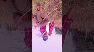Bhojpuri gana skHF55 video 📷📷#like #video #manoj #vhopekook #aapka #keşfet #top #gdbsolved