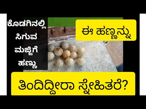 ಕೊಡಗಿನಲ್ಲಿ ಸಿಗುವ ಮಜ್ಜಿಗೆ ಹಣ್ಣು#coorg fruit# rainy season fruit