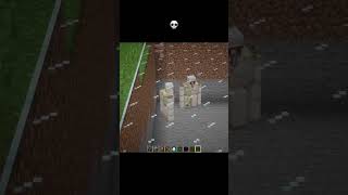 Minecraft Developer shorts moment