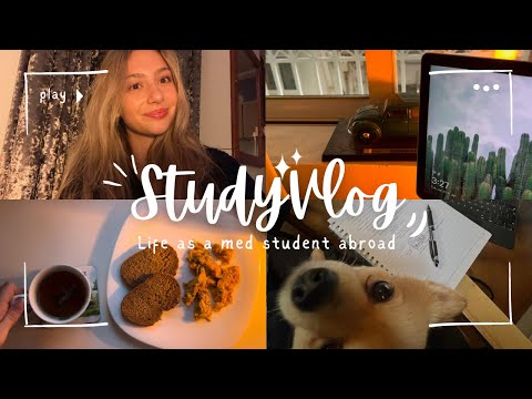 UNI VLOG ABROAD | MEDICAL STUDENT, study sessions, skin care, language class