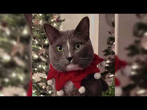 Sleigh Ride (Indian Christmas Remix)