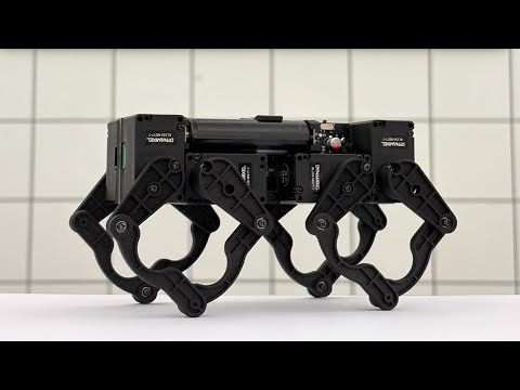 Design of Q8bot: A Miniature, Low-Cost, Dynamic Quadruped Built with Zero Wires [Accepted IROS 2025]
