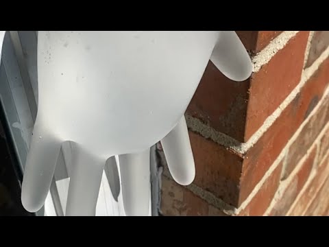 SLO Motion Experiment