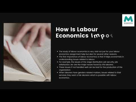 What Is The Importance and Scope of Labour Economics?