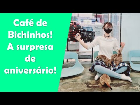 Presente de aniversário da Naty: Café de Bichinhos