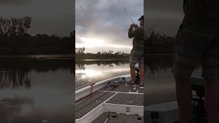 Bass Fishing: the Fountain of Youth 🎣 #bassfishing #fishinglife #dream