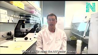 Retinal organoids, an in vitro tool for preclinical testing of gene therapy vectors - William Atkin