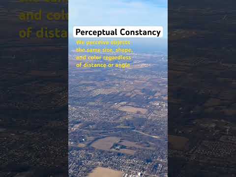 Perceptual constancy #shorts #psychology #music