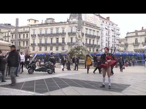 Czech email spam video #10: skot