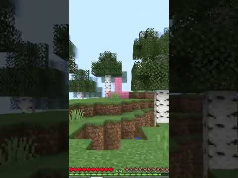 Scariest thing in minecraft 😲 #shorts