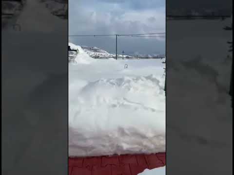 Snow Time at Iraq 🤘🤘🤘#shorts