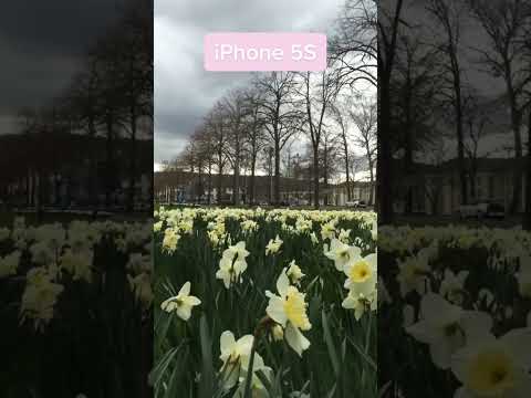 📷 Iphone 5S vs. Iphone 13 Camera Test #iphone #iphones #smartphone #camera